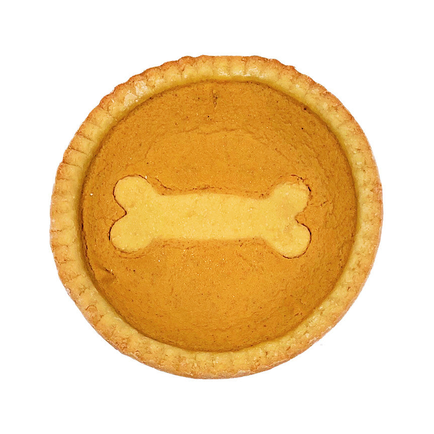 Pumpkin Pooch Pie 1