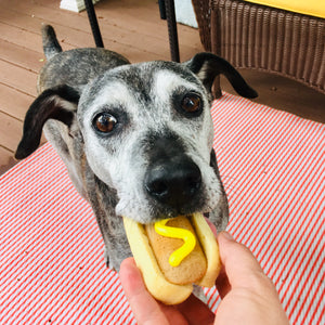 Hot Dog Pupcake